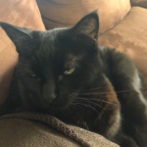 Meet your Posher, Megan